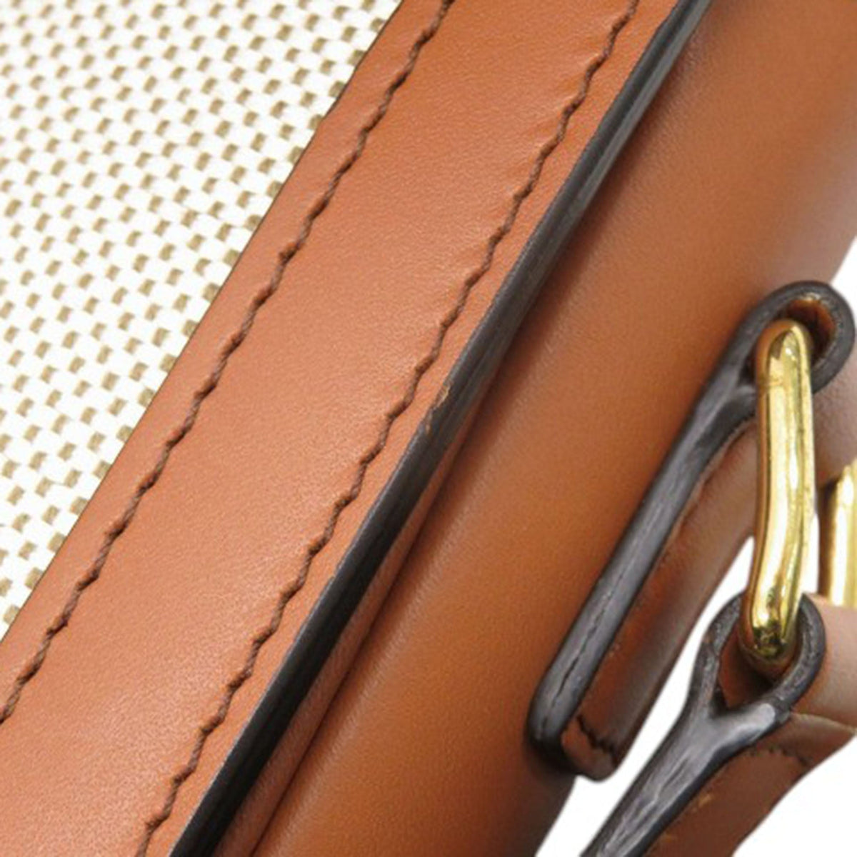 Celine Classique Canvas and Calfskin Triomphe Crossbody