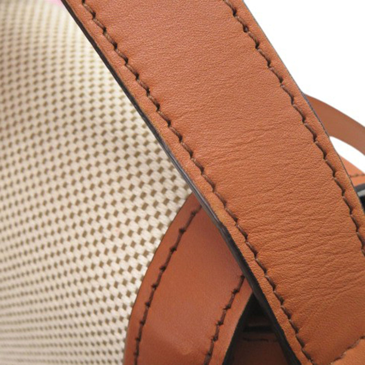 Celine Classique Canvas and Calfskin Triomphe Crossbody