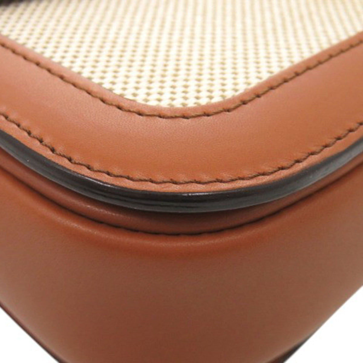 Celine Classique Canvas and Calfskin Triomphe Crossbody