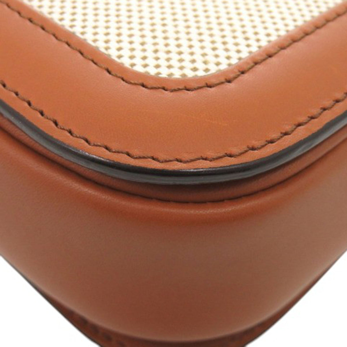 Celine Classique Canvas and Calfskin Triomphe Crossbody