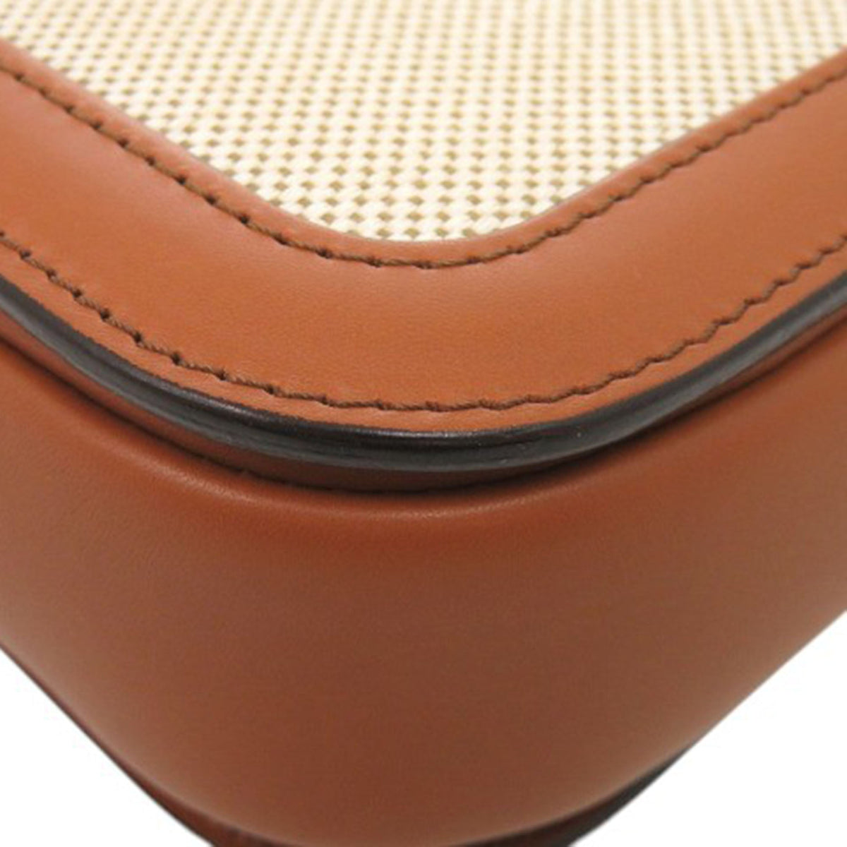 Celine Classique Canvas and Calfskin Triomphe Crossbody