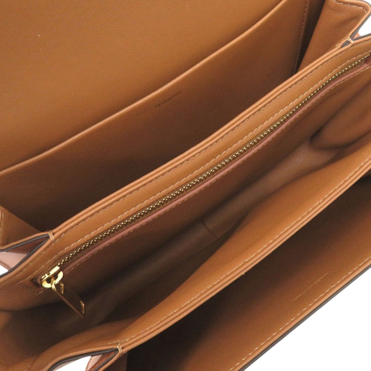 Celine Classique Canvas and Calfskin Triomphe Crossbody