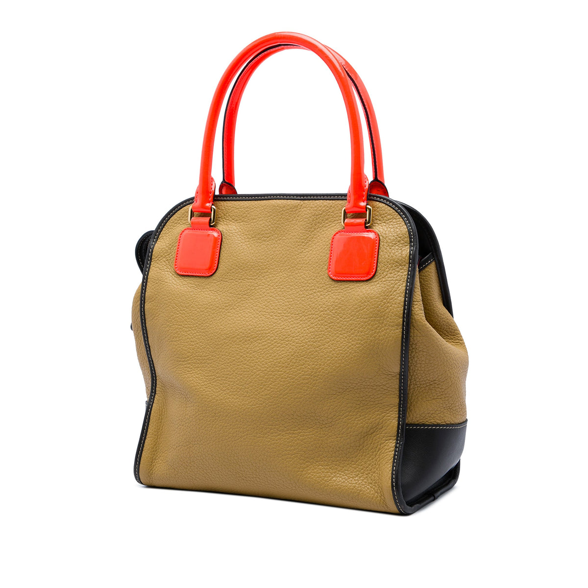 LOEWE Tricolor Leather Anagram Oro Handbag