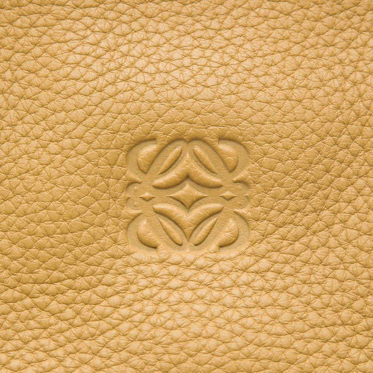 LOEWE Tricolor Leather Anagram Oro Handbag