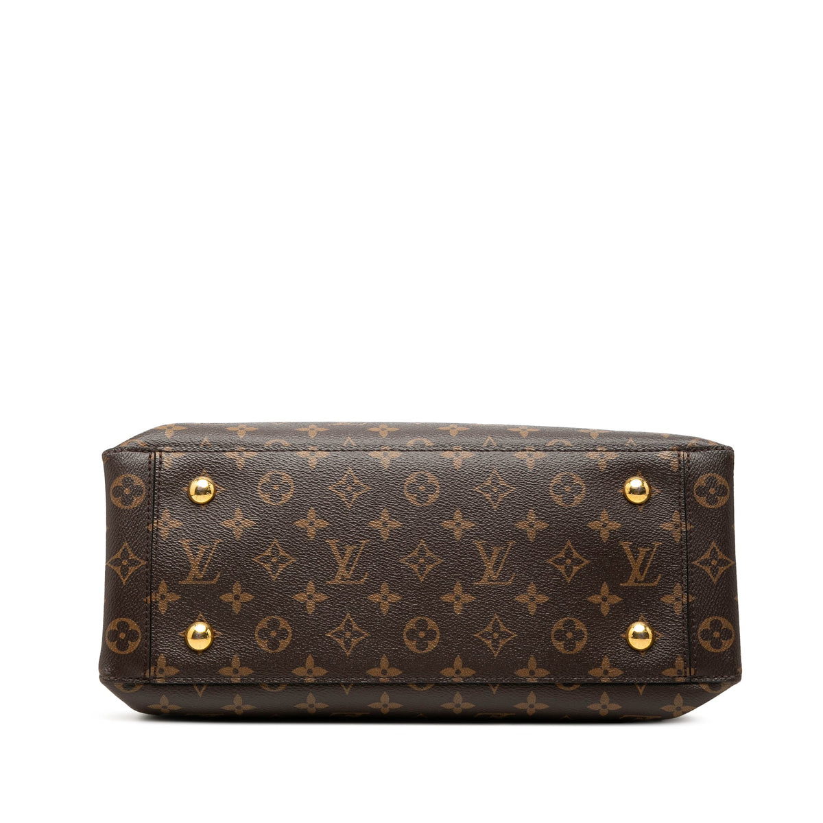 Louis Vuitton Monogram Flower Tote