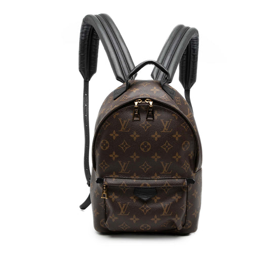 Louis Vuitton Monogram Palm Springs PM