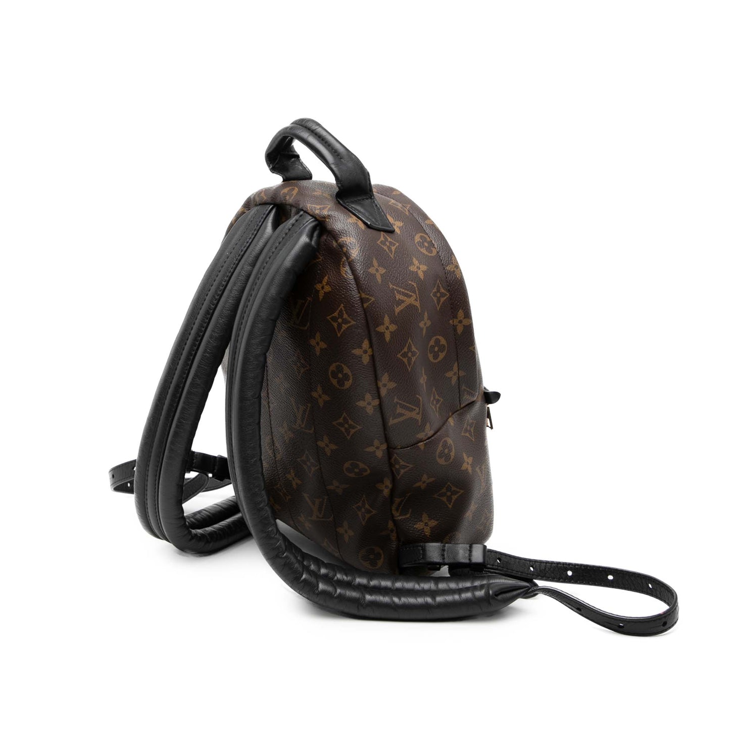 Louis Vuitton Monogram Palm Springs PM