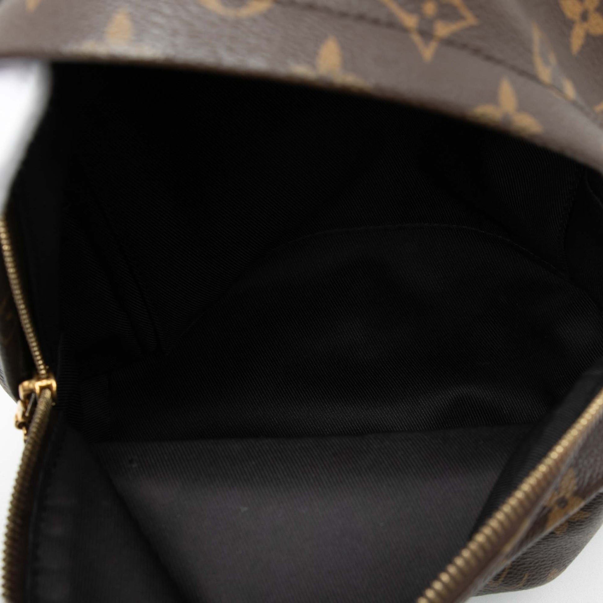 Louis Vuitton Monogram Palm Springs PM