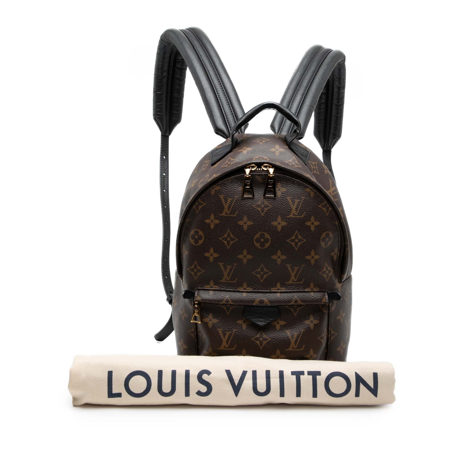 Louis Vuitton Monogram Palm Springs PM