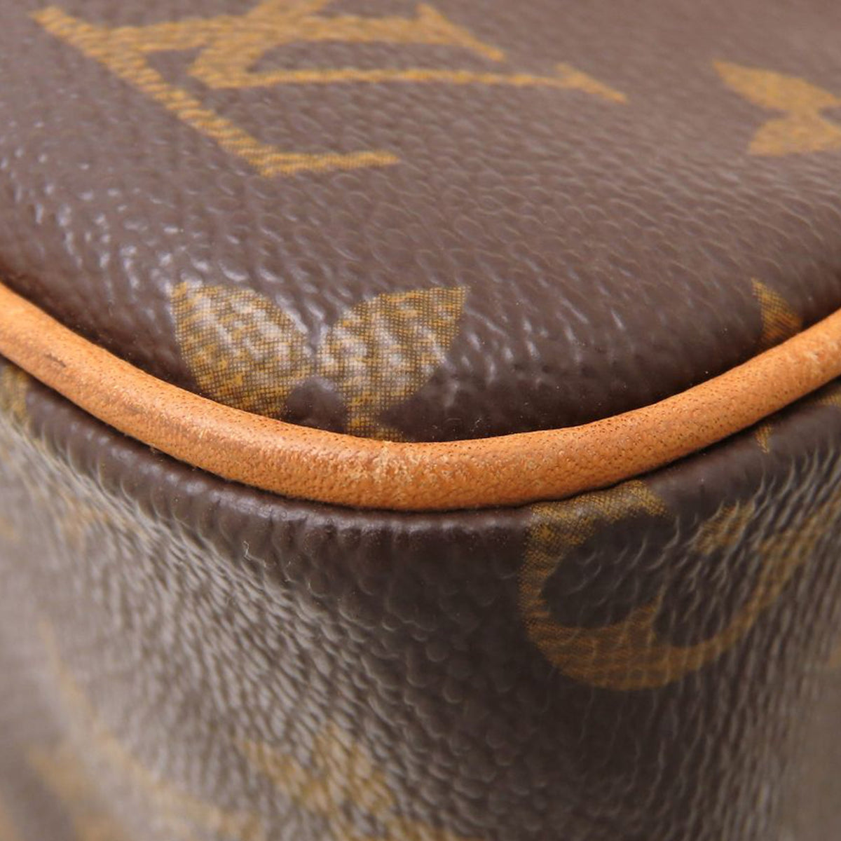 Louis Vuitton Monogram Viva Cite MM