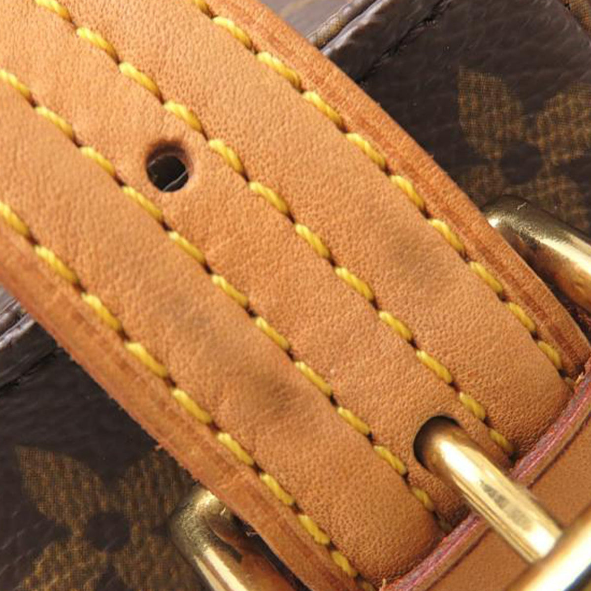 Louis Vuitton Monogram Viva Cite MM
