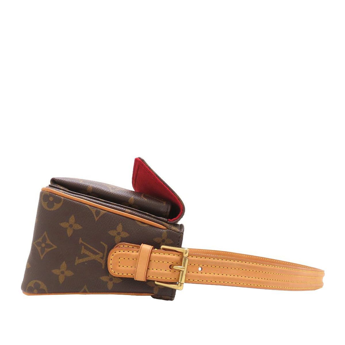Louis Vuitton Monogram Viva Cite MM