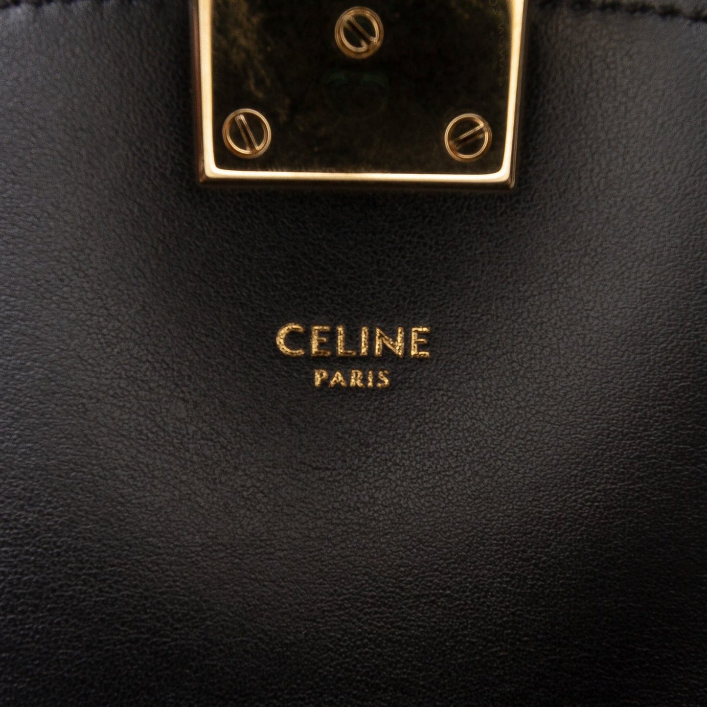 Celine Small Suede Pampille C Bag