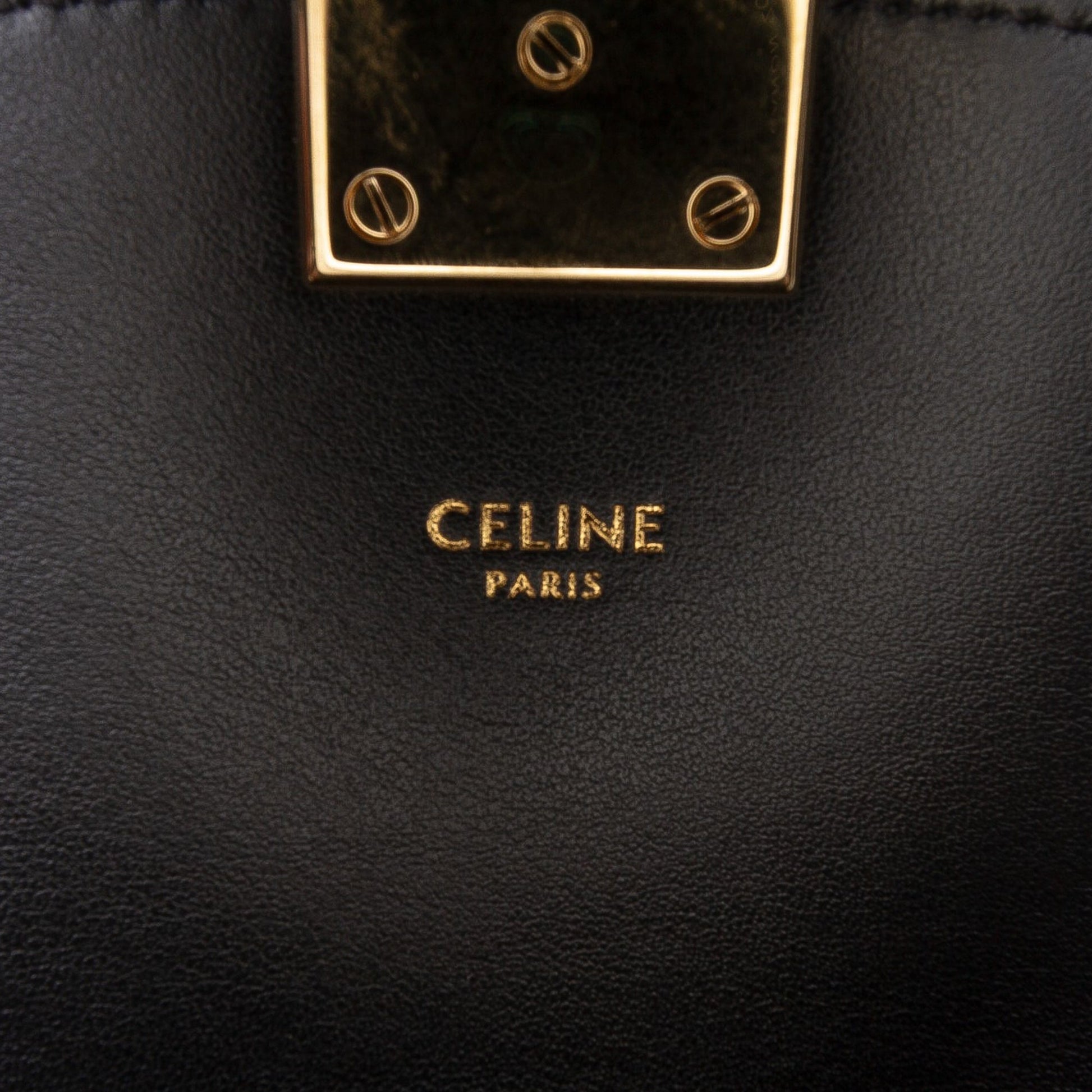 Celine Small Suede Pampille C Bag