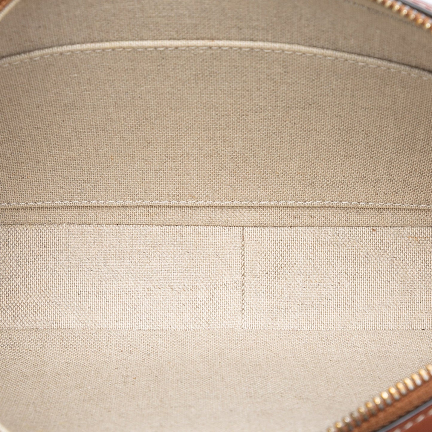 Celine Canvas and Calfskin Cuir Triomphe Camera Shoulder Bag