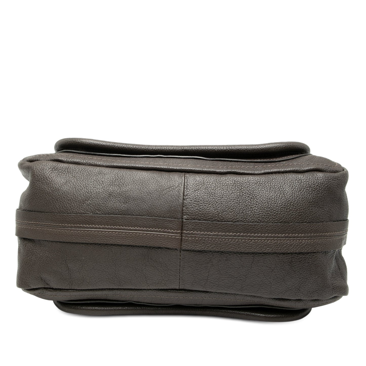 Chloé Medium Leather Paraty Satchel