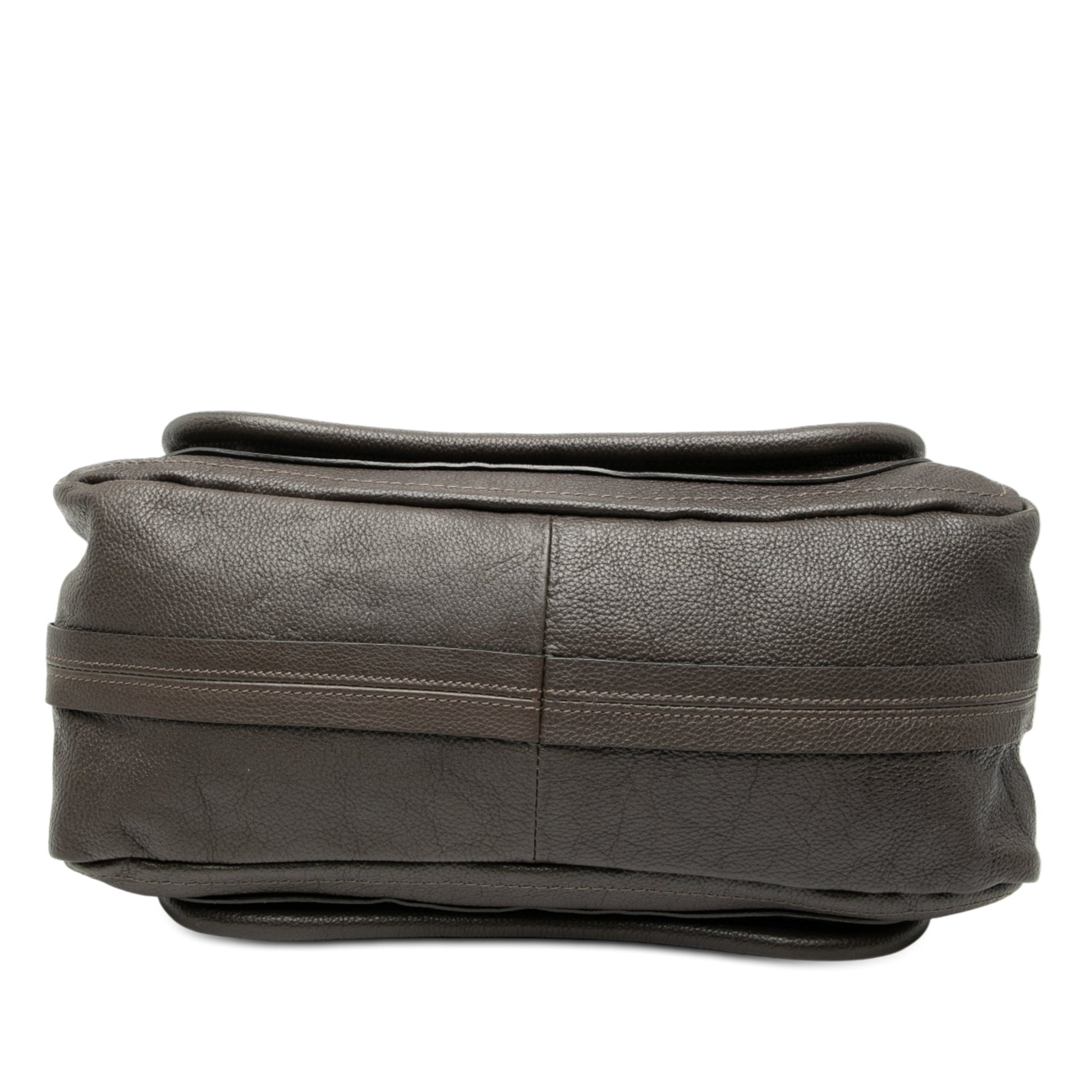 Chloé Medium Leather Paraty Satchel