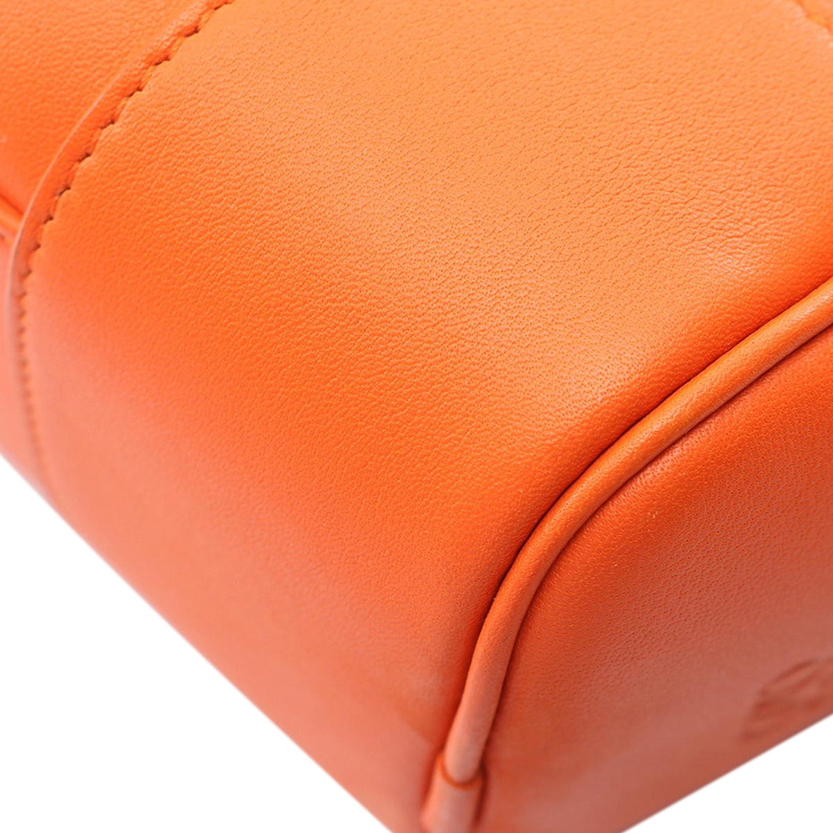 LOEWE Calfskin Amazona 16 Square Bag