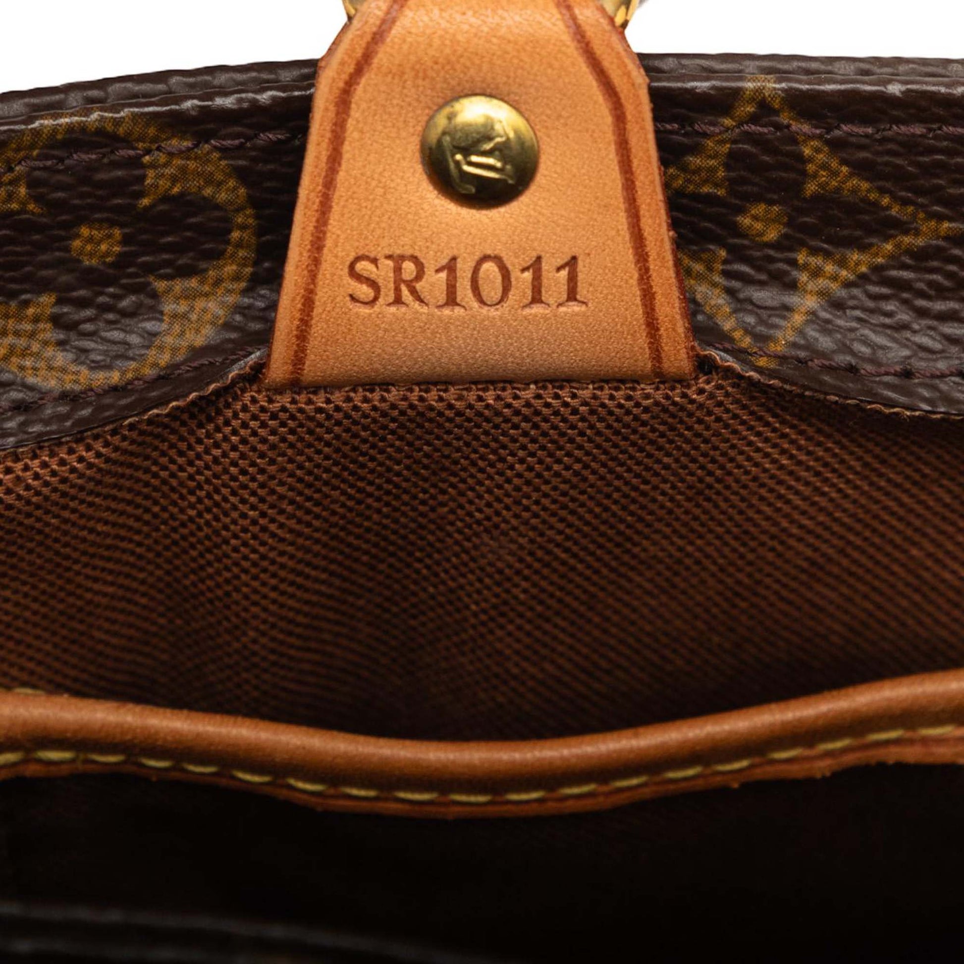 Louis Vuitton Monogram Vavin PM
