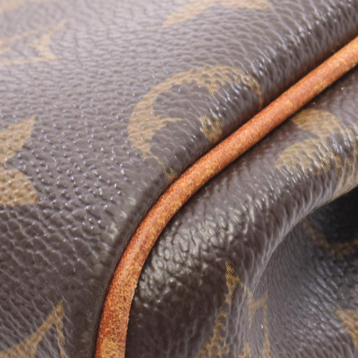 Louis Vuitton Monogram Eva