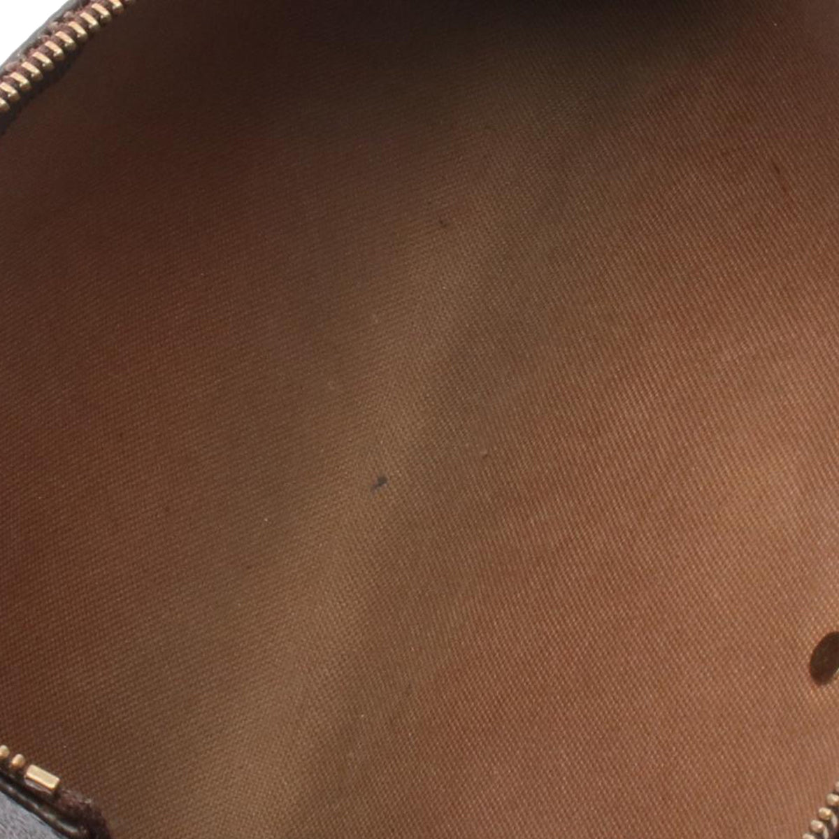 Louis Vuitton Monogram Eva