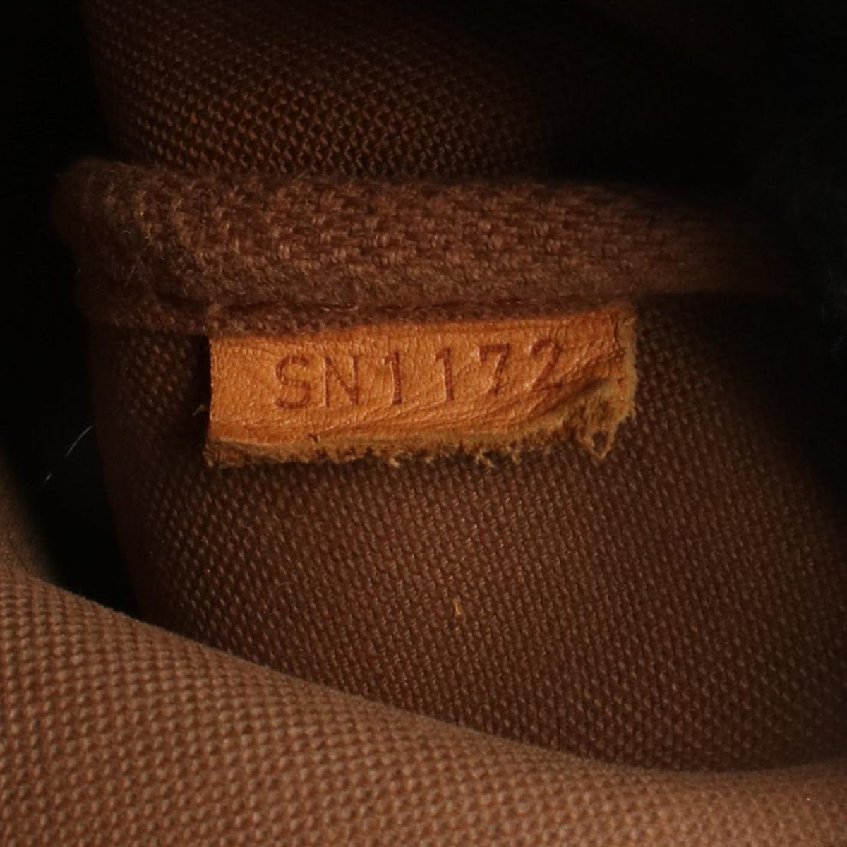 Louis Vuitton Monogram Eva