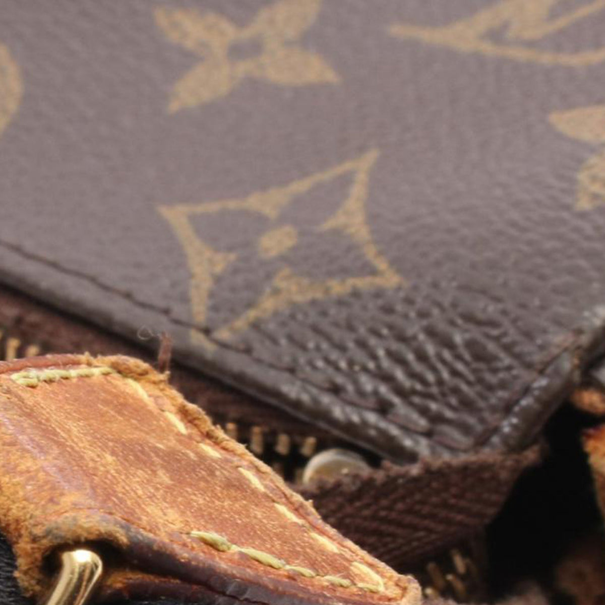 Louis Vuitton Monogram Eva