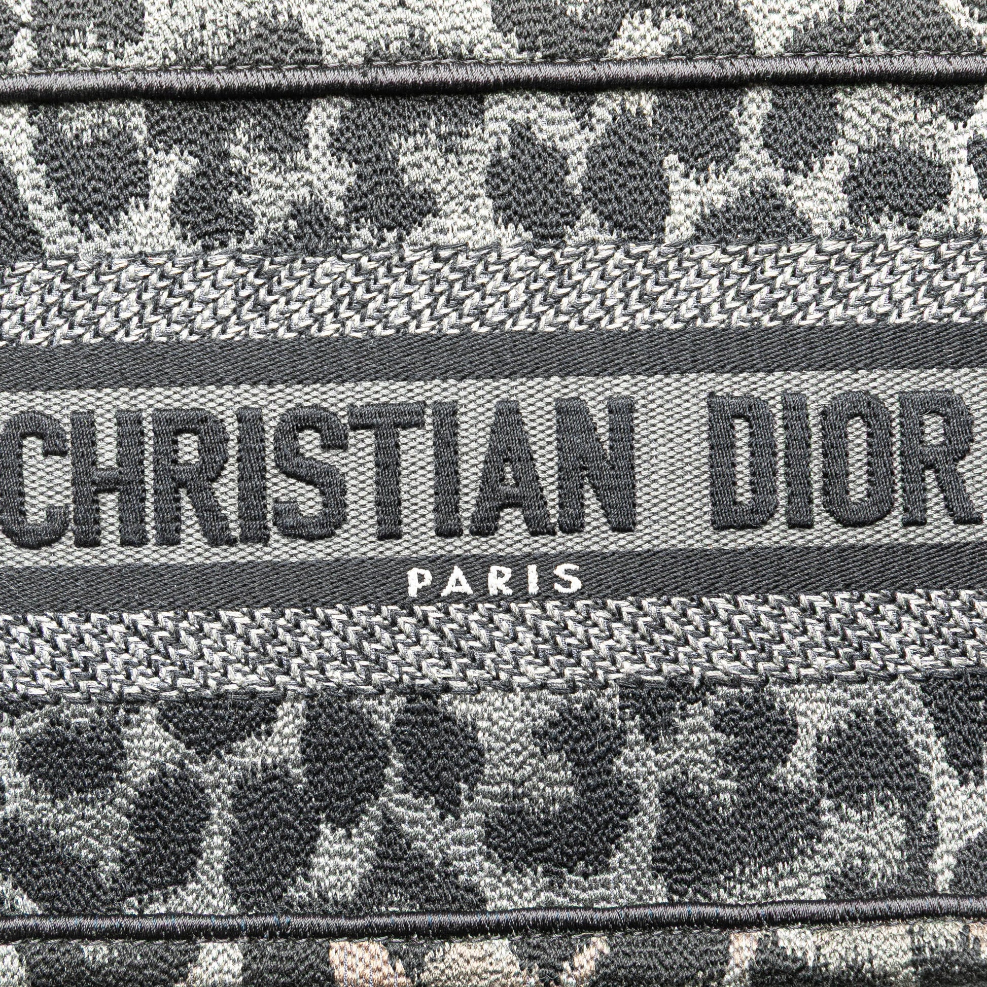 Dior Mizza Mini Embroidered Canvas Leopard Book Tote