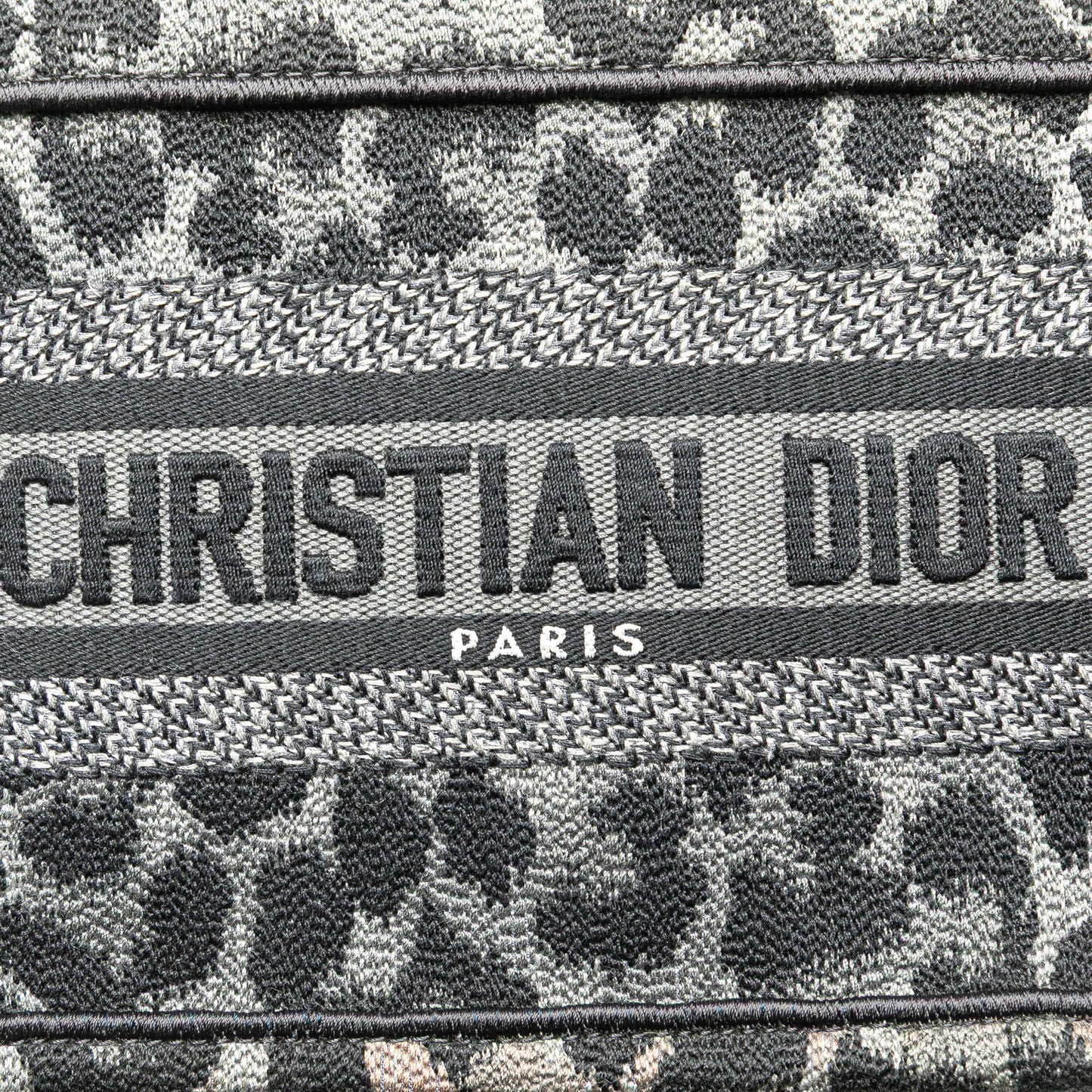 Dior Mizza Mini Embroidered Canvas Leopard Book Tote
