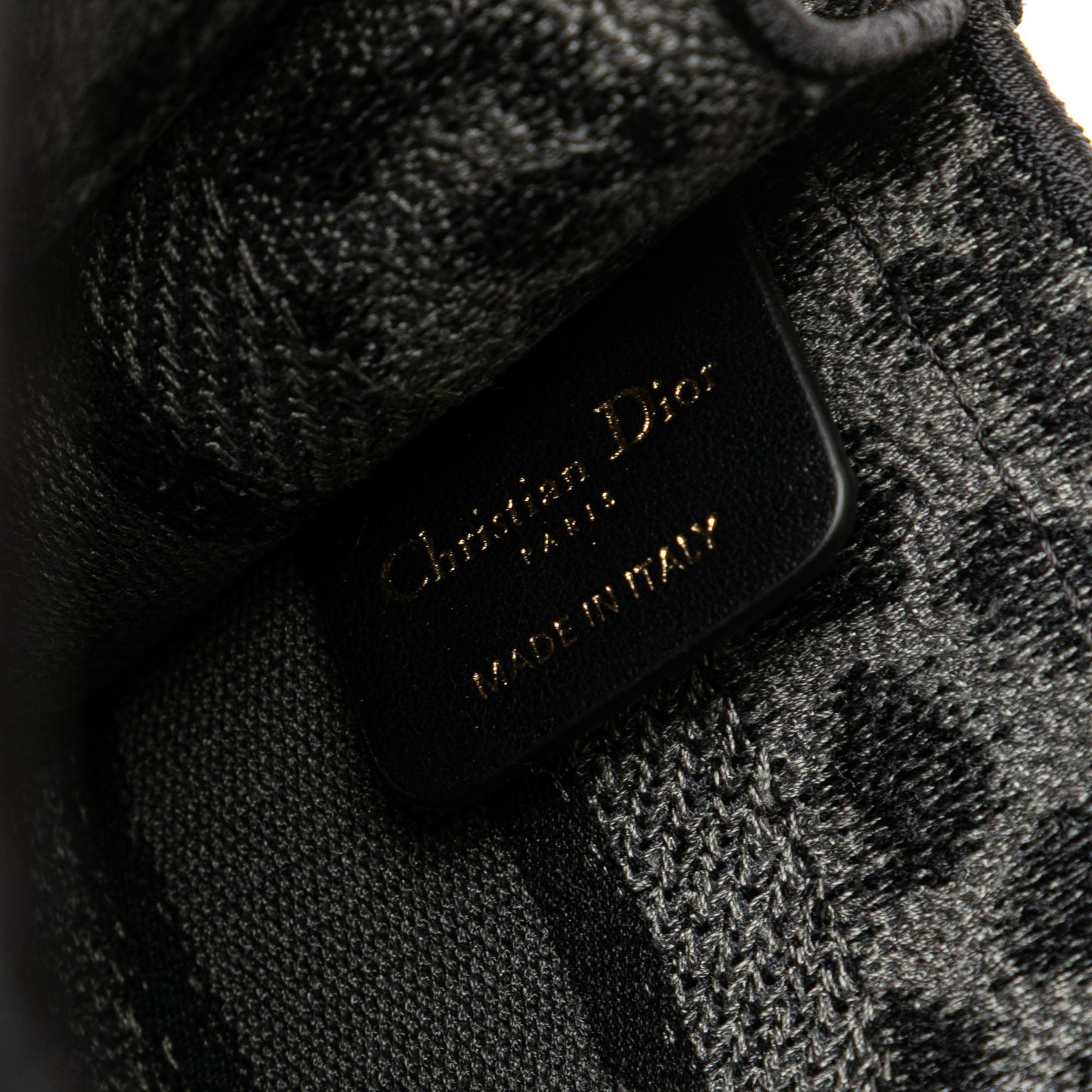 Dior Mizza Mini Embroidered Canvas Leopard Book Tote