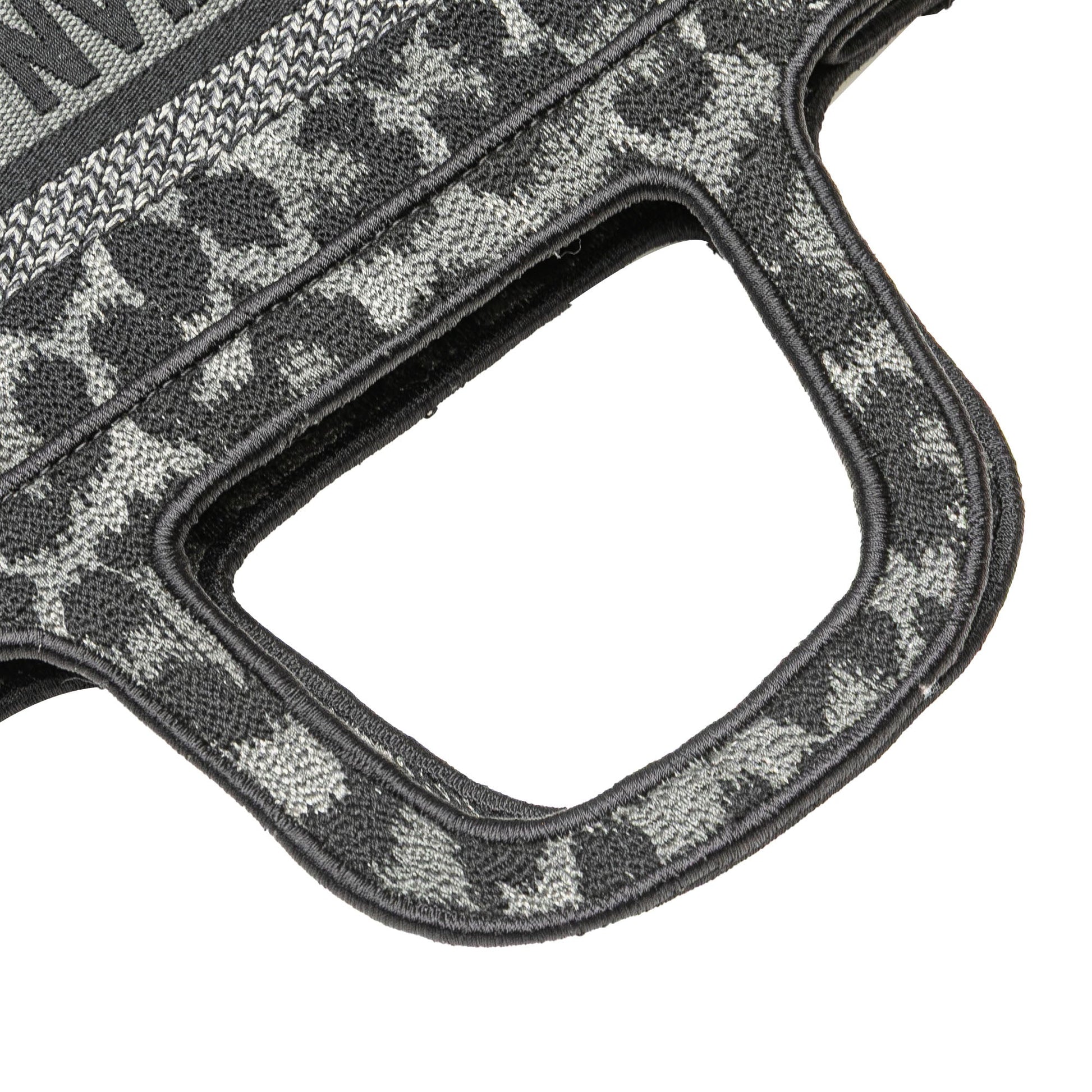 Dior Mizza Mini Embroidered Canvas Leopard Book Tote