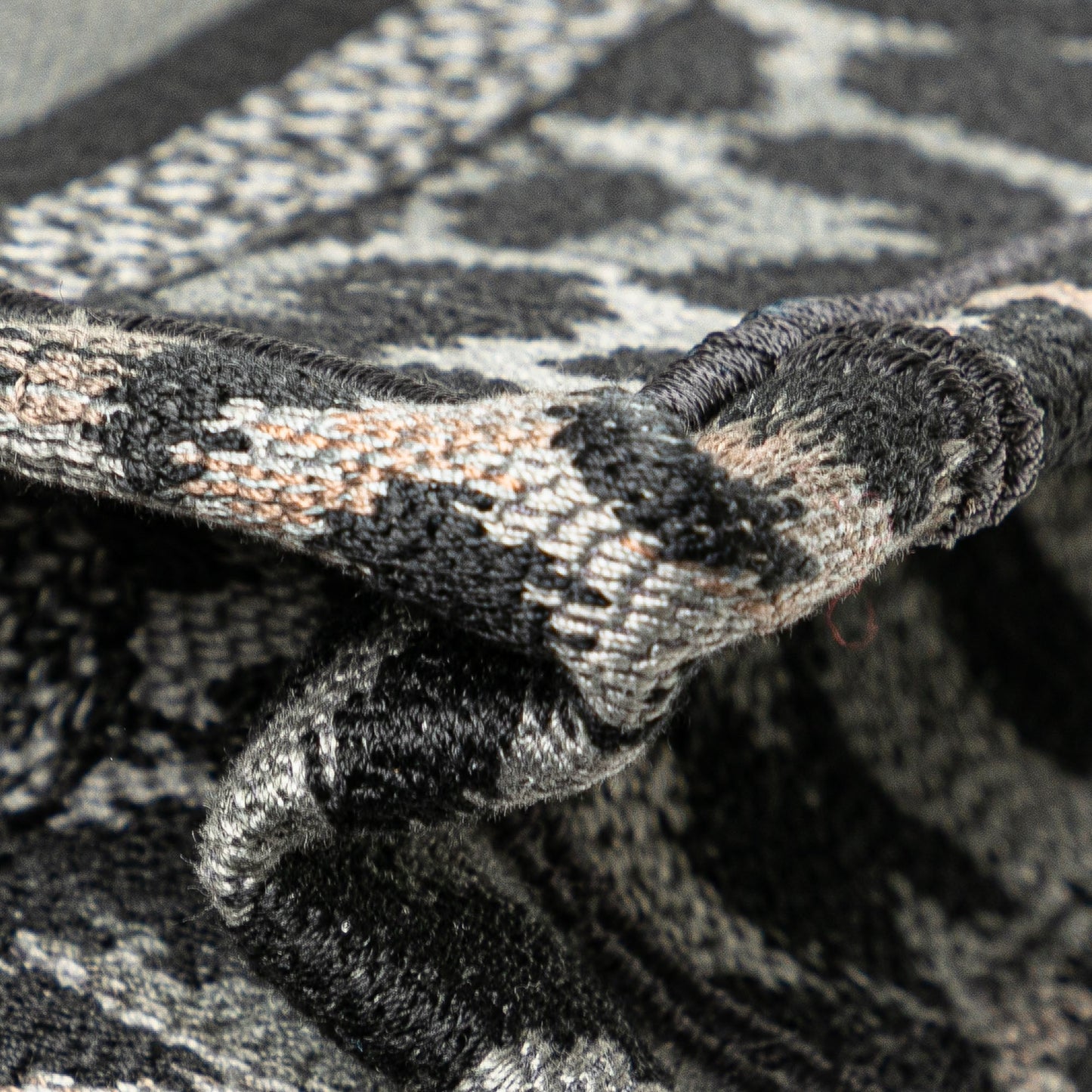 Dior Mizza Mini Embroidered Canvas Leopard Book Tote