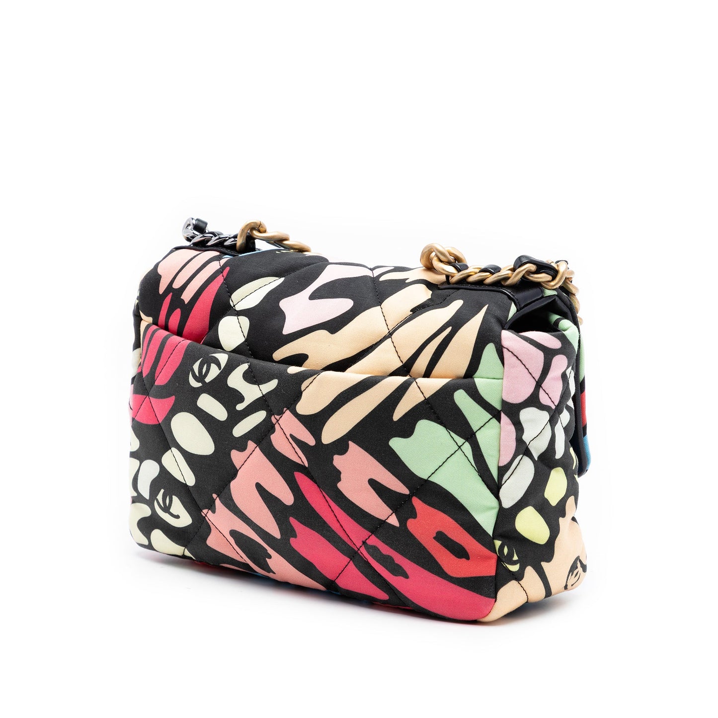 Chanel Medium Printed Canvas 19 Flap