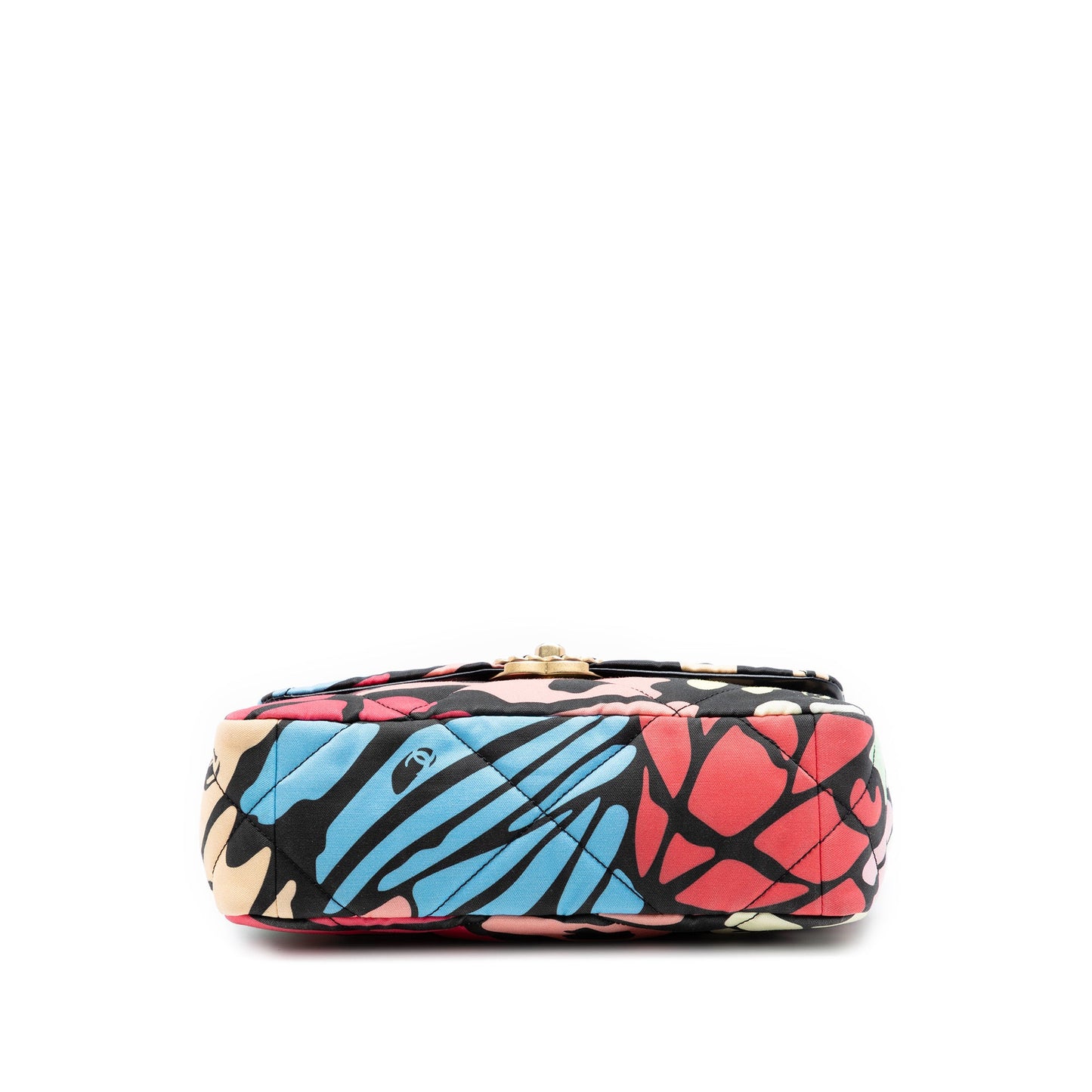 Chanel Medium Printed Canvas 19 Flap