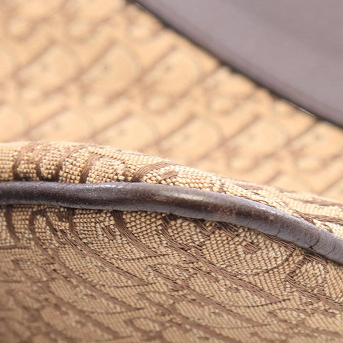 Dior Diorissimo Trotter Canvas Street Chic Crossbody
