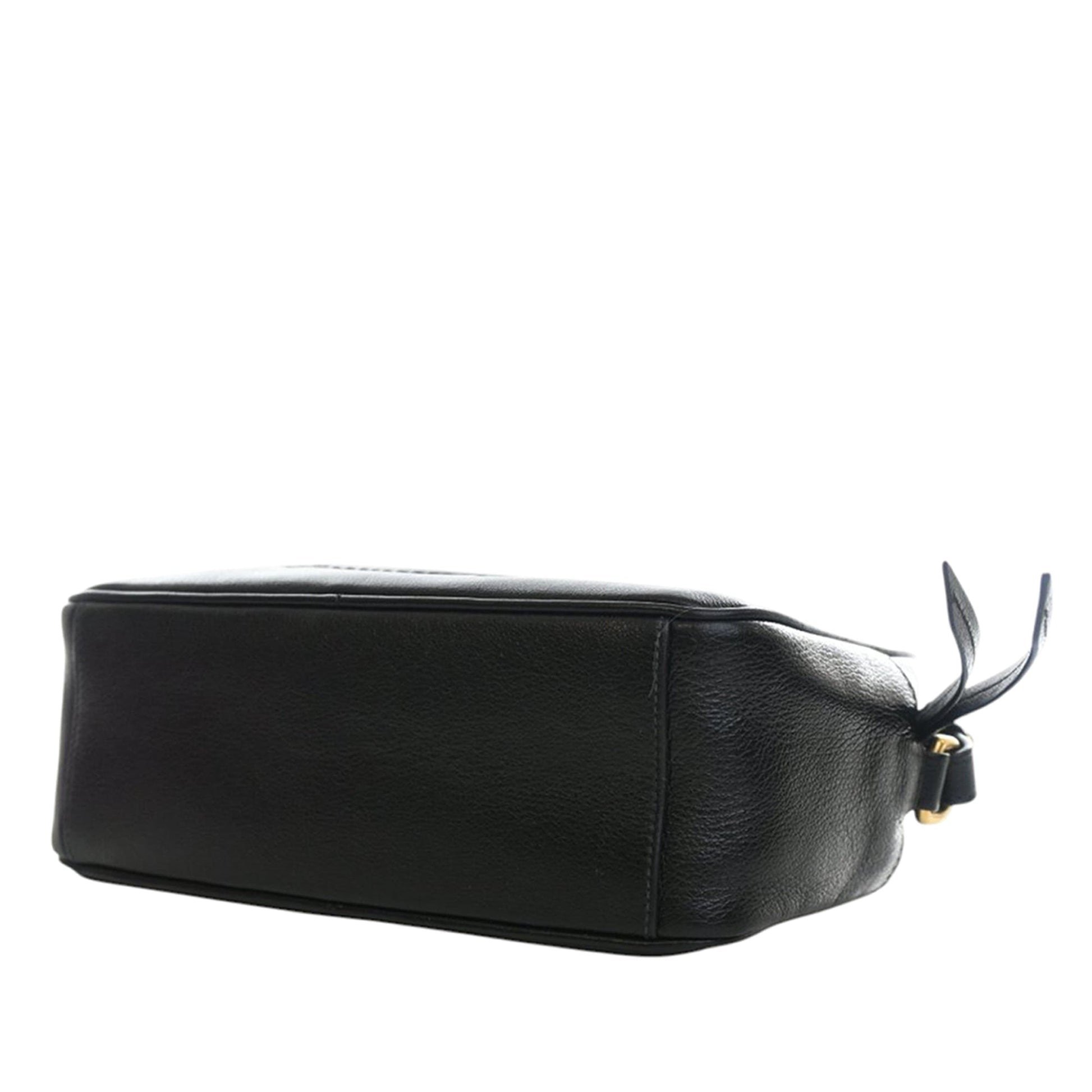 Prada Small Embossed Calfskin Canapa Logo Camera Bag