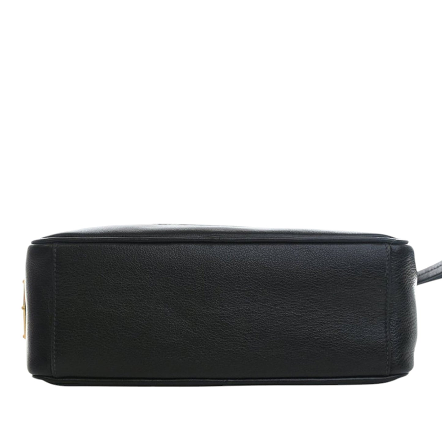 Prada Small Embossed Calfskin Canapa Logo Camera Bag