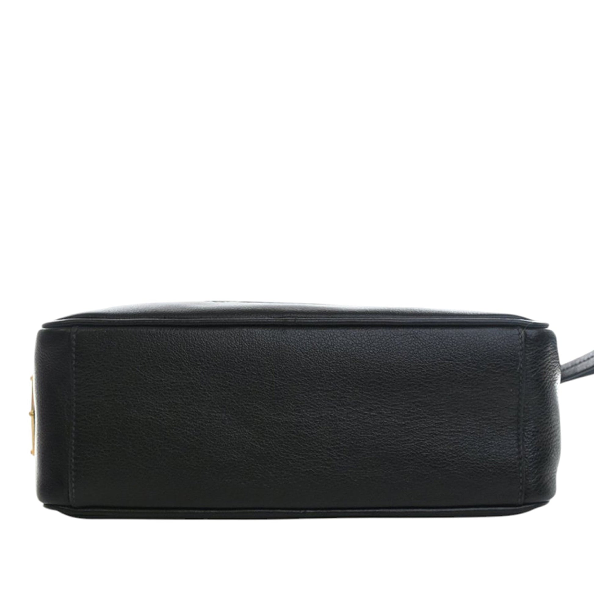 Prada Small Embossed Calfskin Canapa Logo Camera Bag