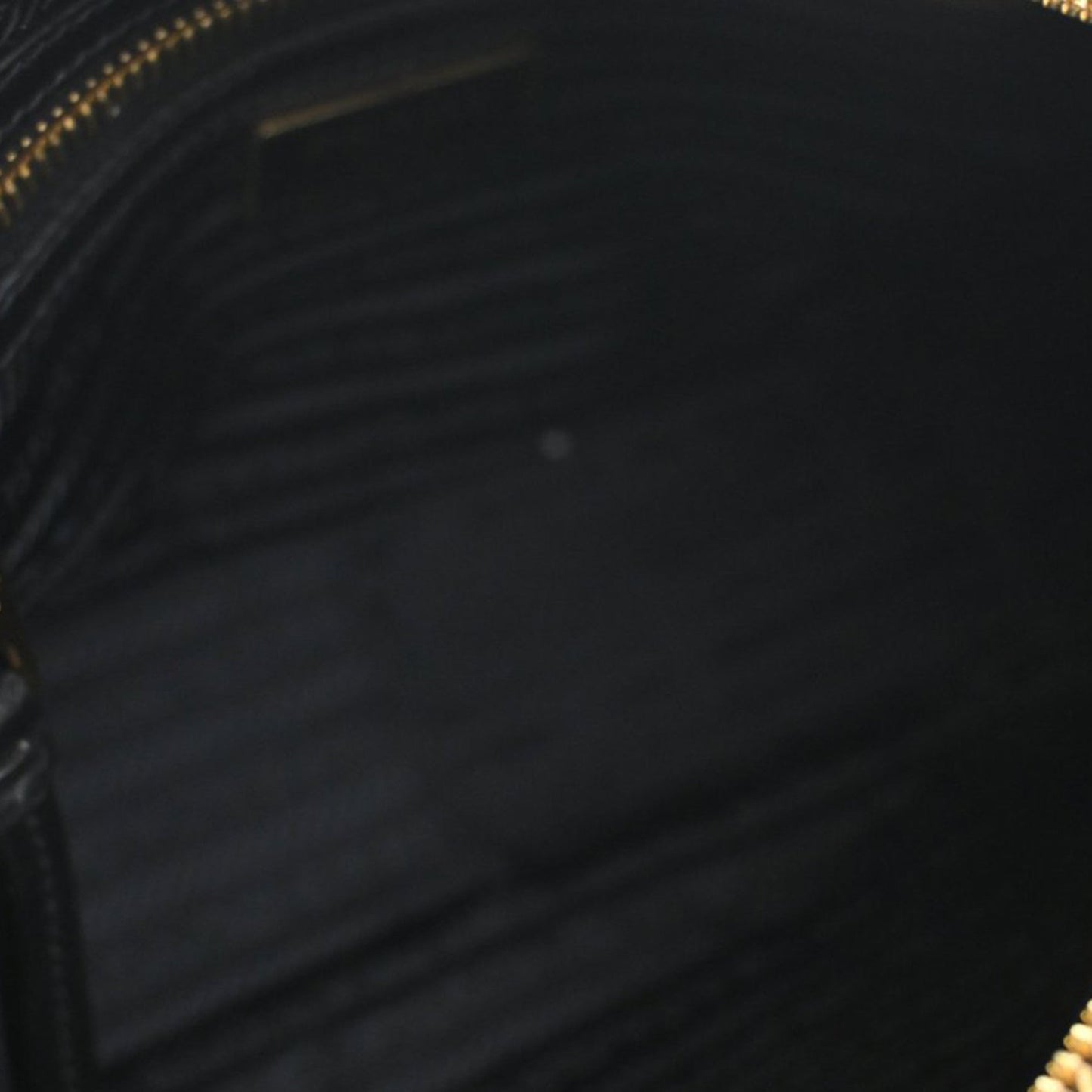 Prada Small Embossed Calfskin Canapa Logo Camera Bag