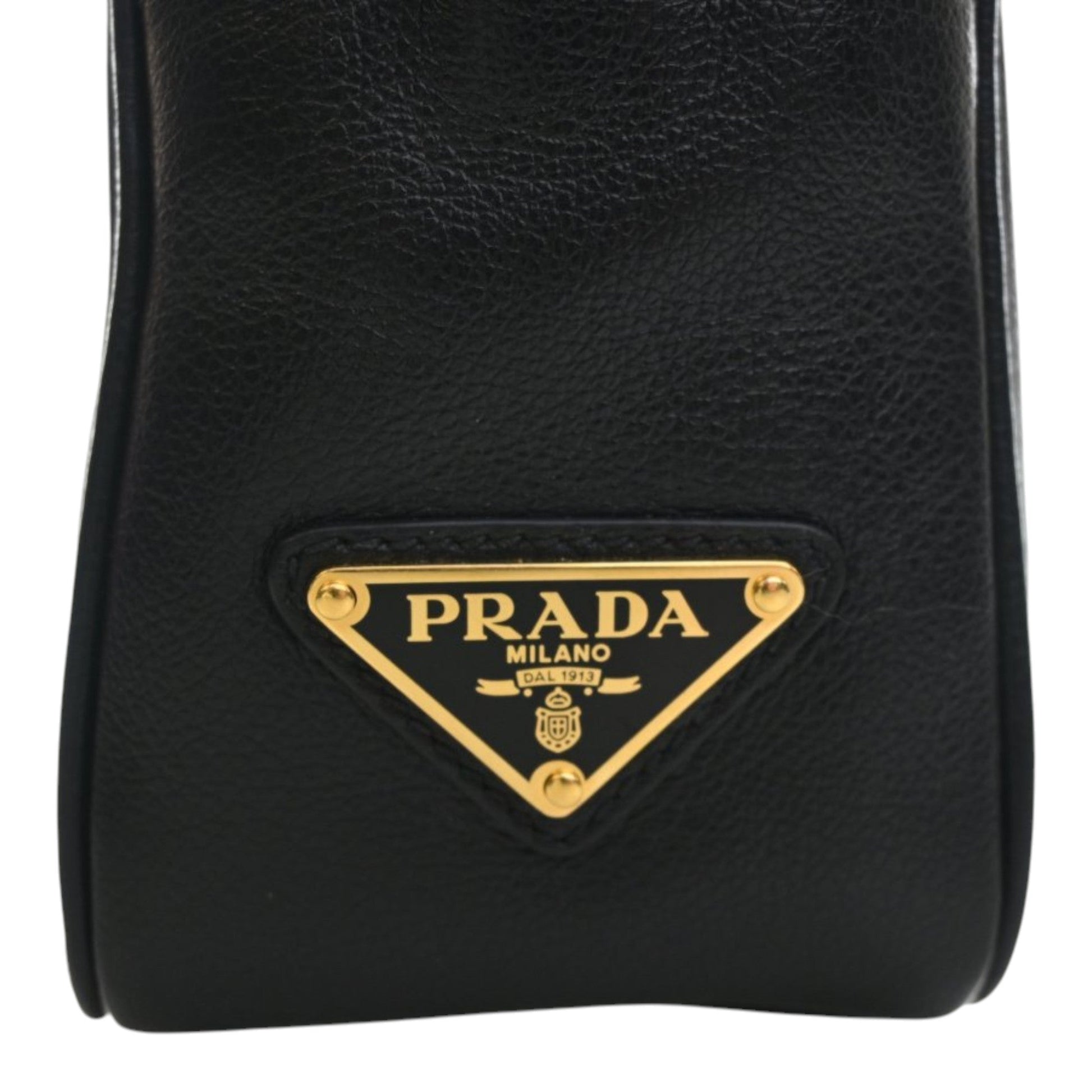 Prada Small Embossed Calfskin Canapa Logo Camera Bag
