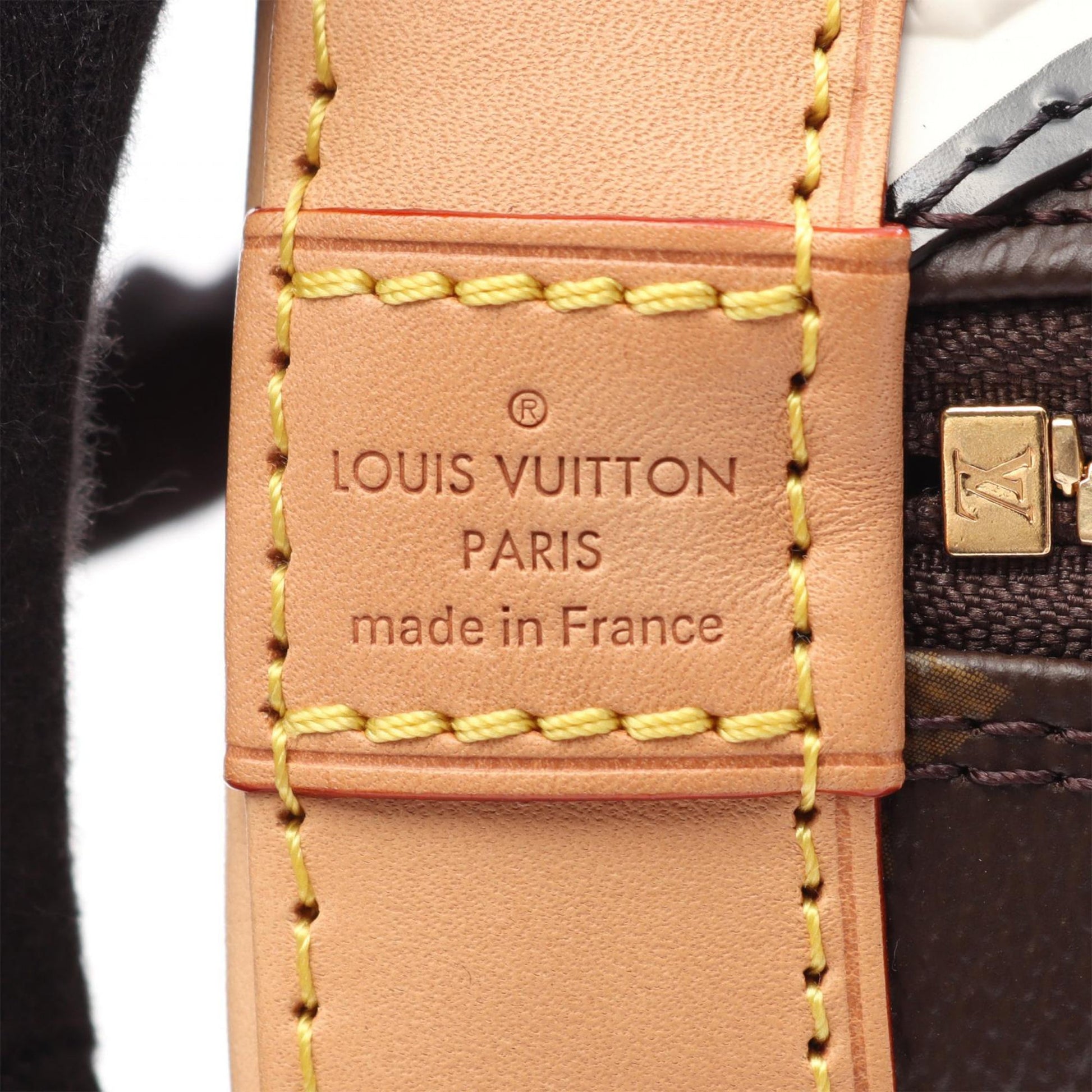 Louis Vuitton Sun Yitian Monogram Zebra Alma BB