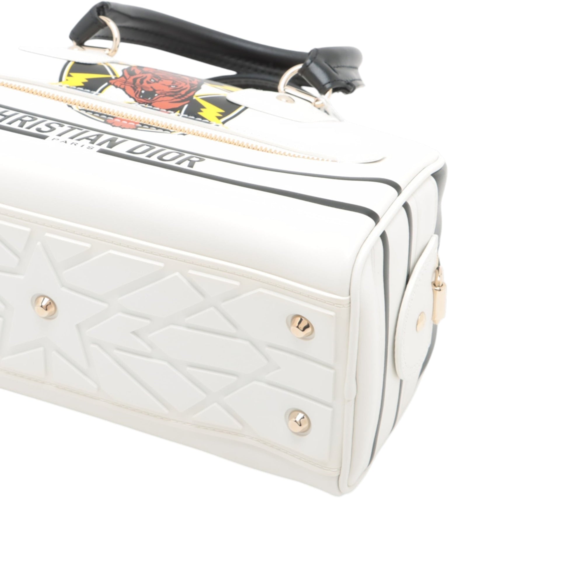 Dior Small Leather Tiger Dior Vibe Zip Bowling Bag