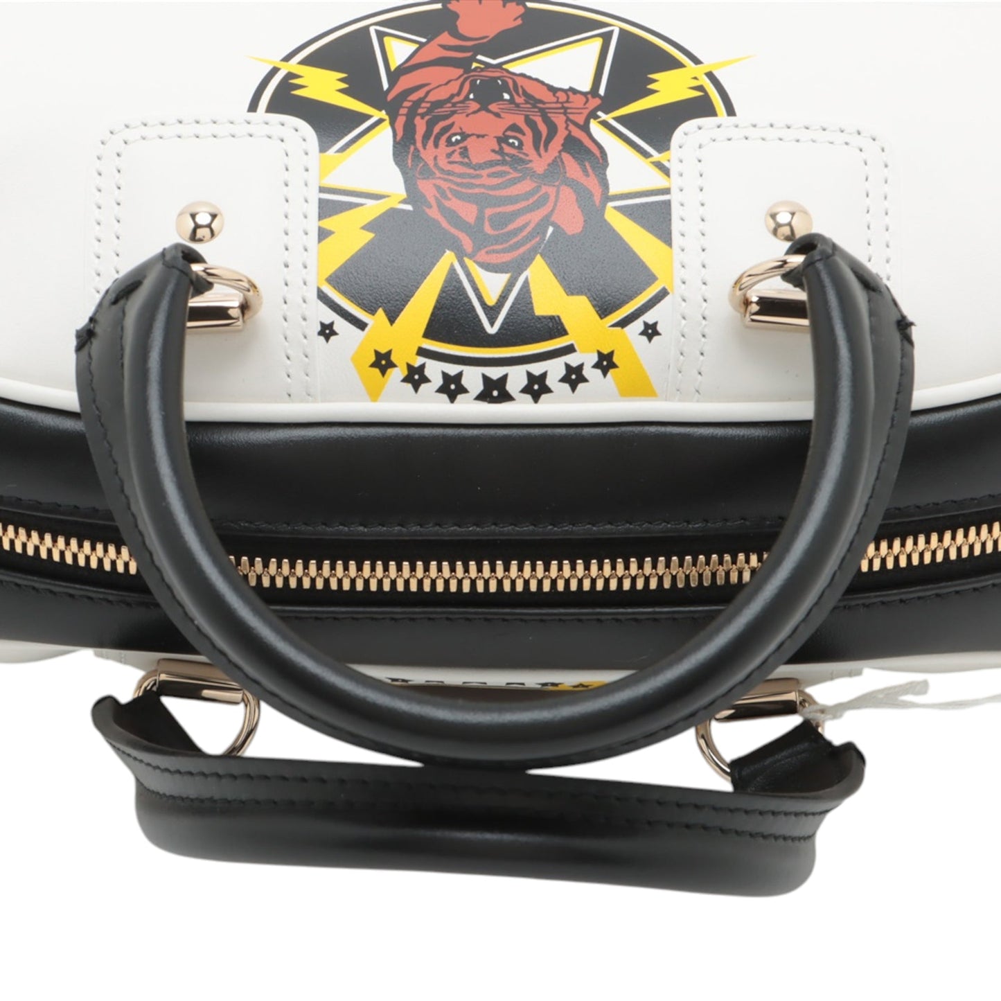Dior Small Leather Tiger Dior Vibe Zip Bowling Bag