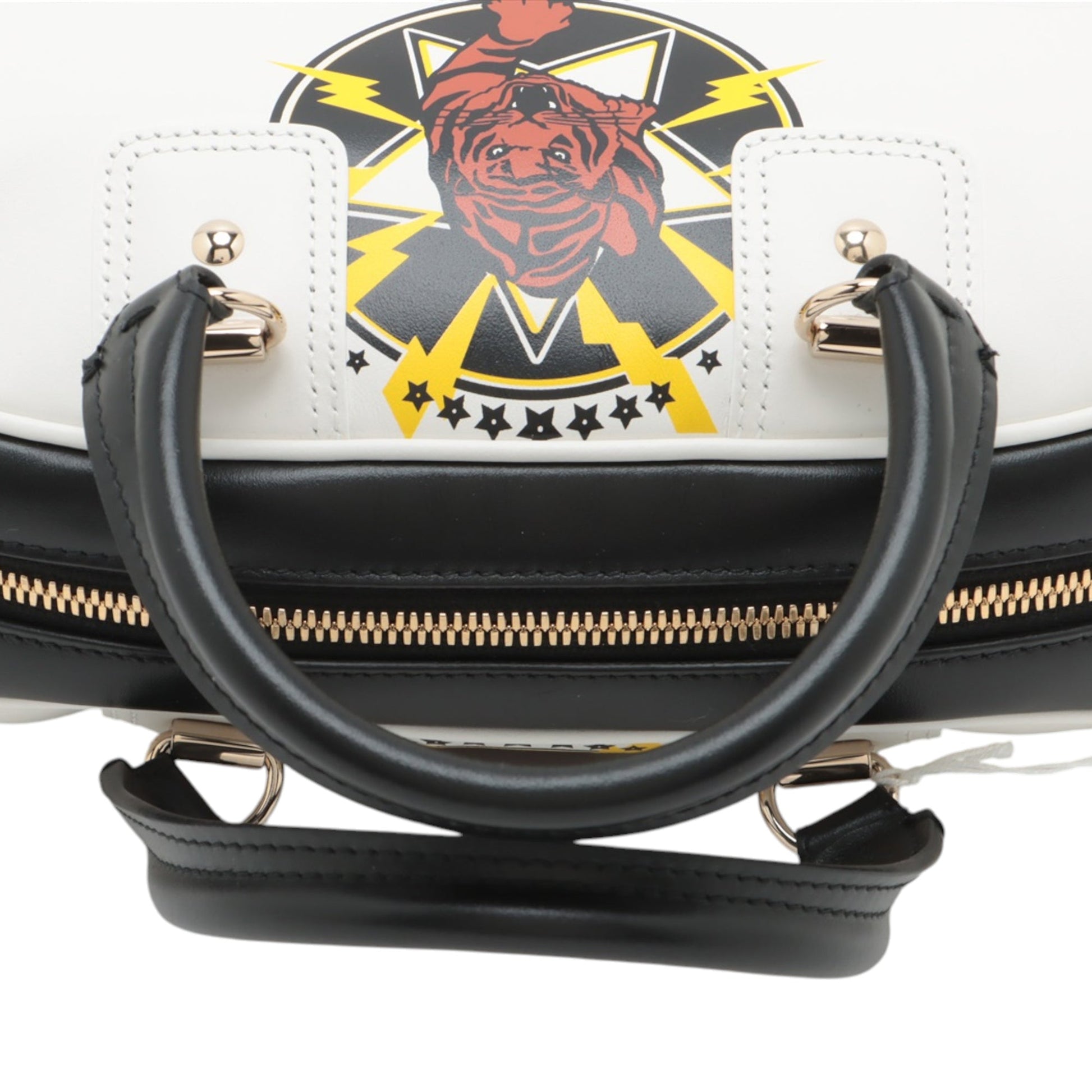 Dior Small Leather Tiger Dior Vibe Zip Bowling Bag