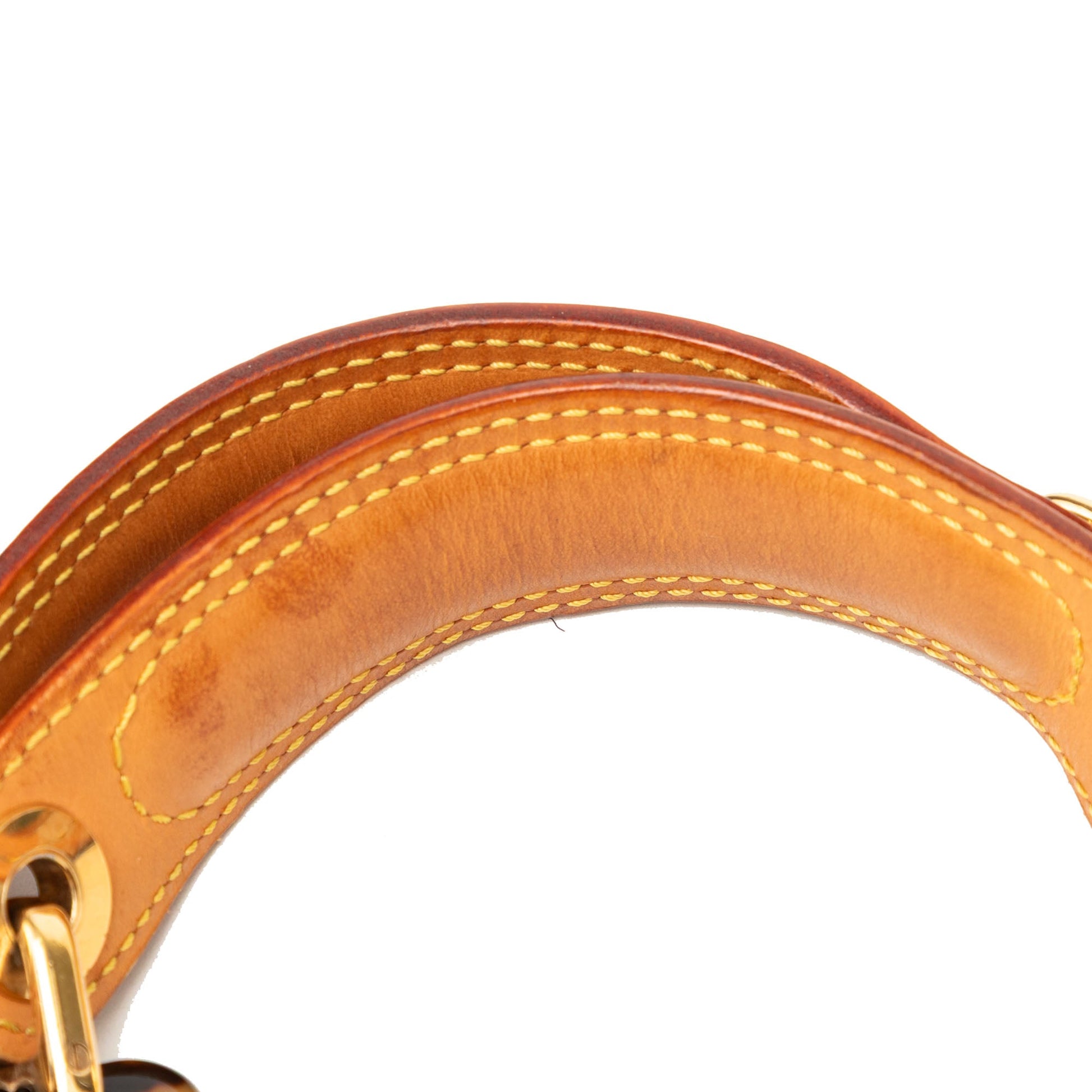 Louis Vuitton Monogram Cabas Sac Ambre PM