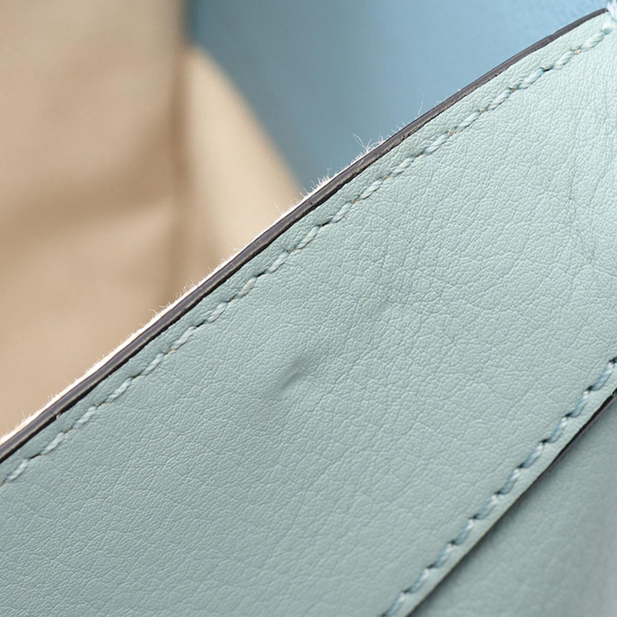 LOEWE Small Bicolor Calfskin Hammock Satchel