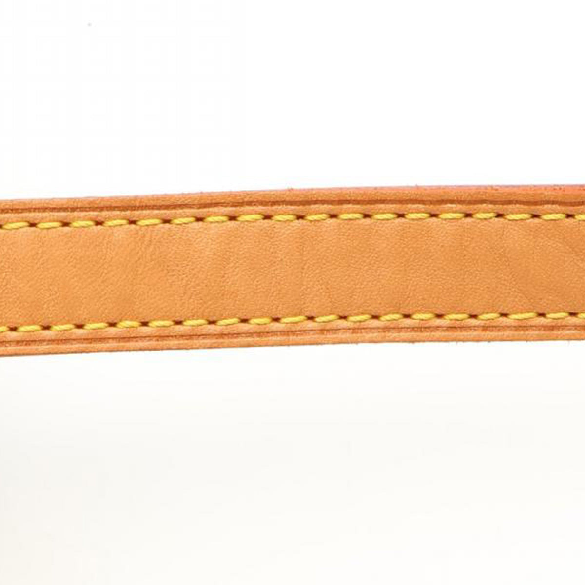 Louis Vuitton Monogram Viva Cite PM — Brown