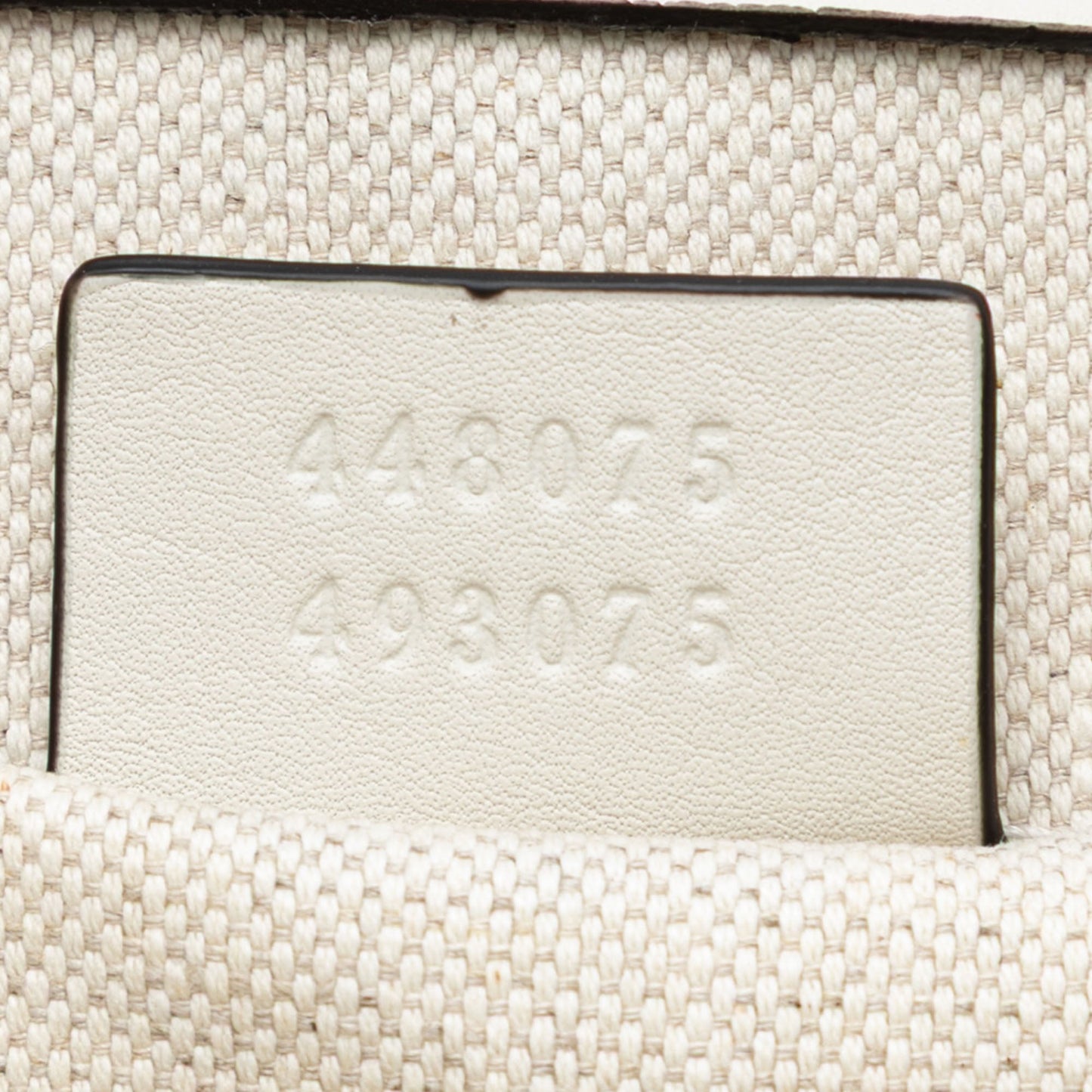 Medium Leather Bamboo Dionysus Web Satchel