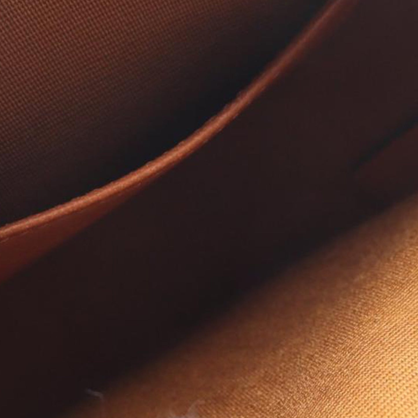 Celine Triomphe Coated Canvas Round Purse on Strap
