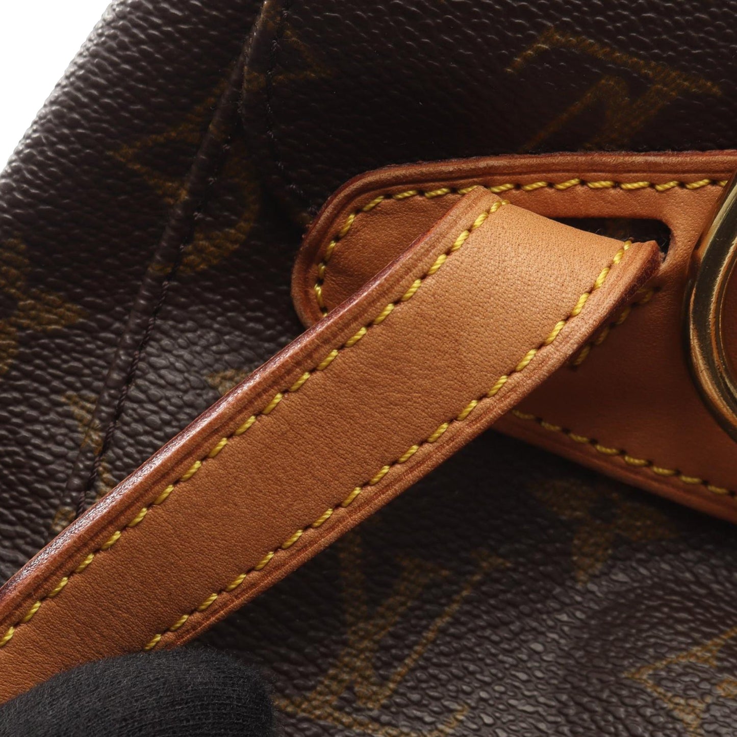 Louis Vuitton Monogram Montsouris MM